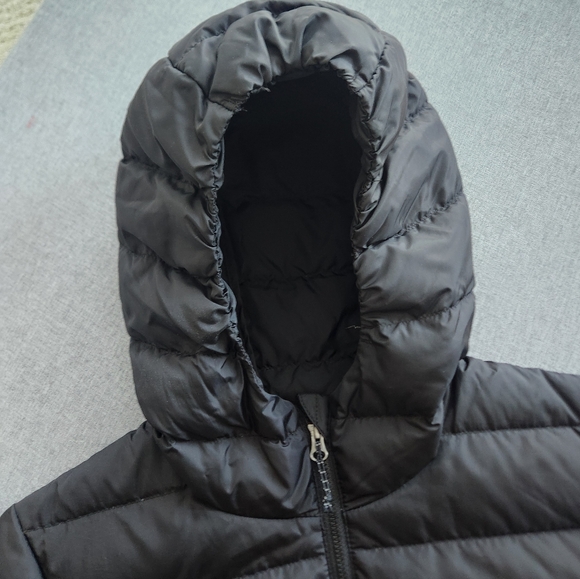 Women's Eddie Bauer Cirruslite Down Parka - Picture 6 of 12